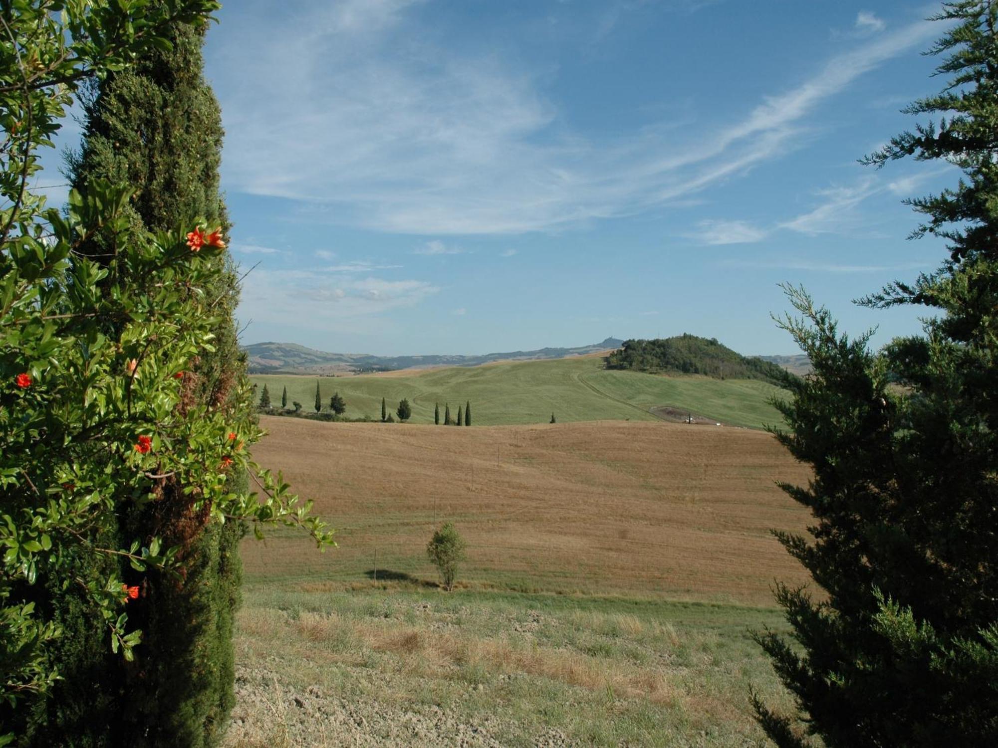 Modern Farmhouse In Pienza With Pool Dış mekan fotoğraf