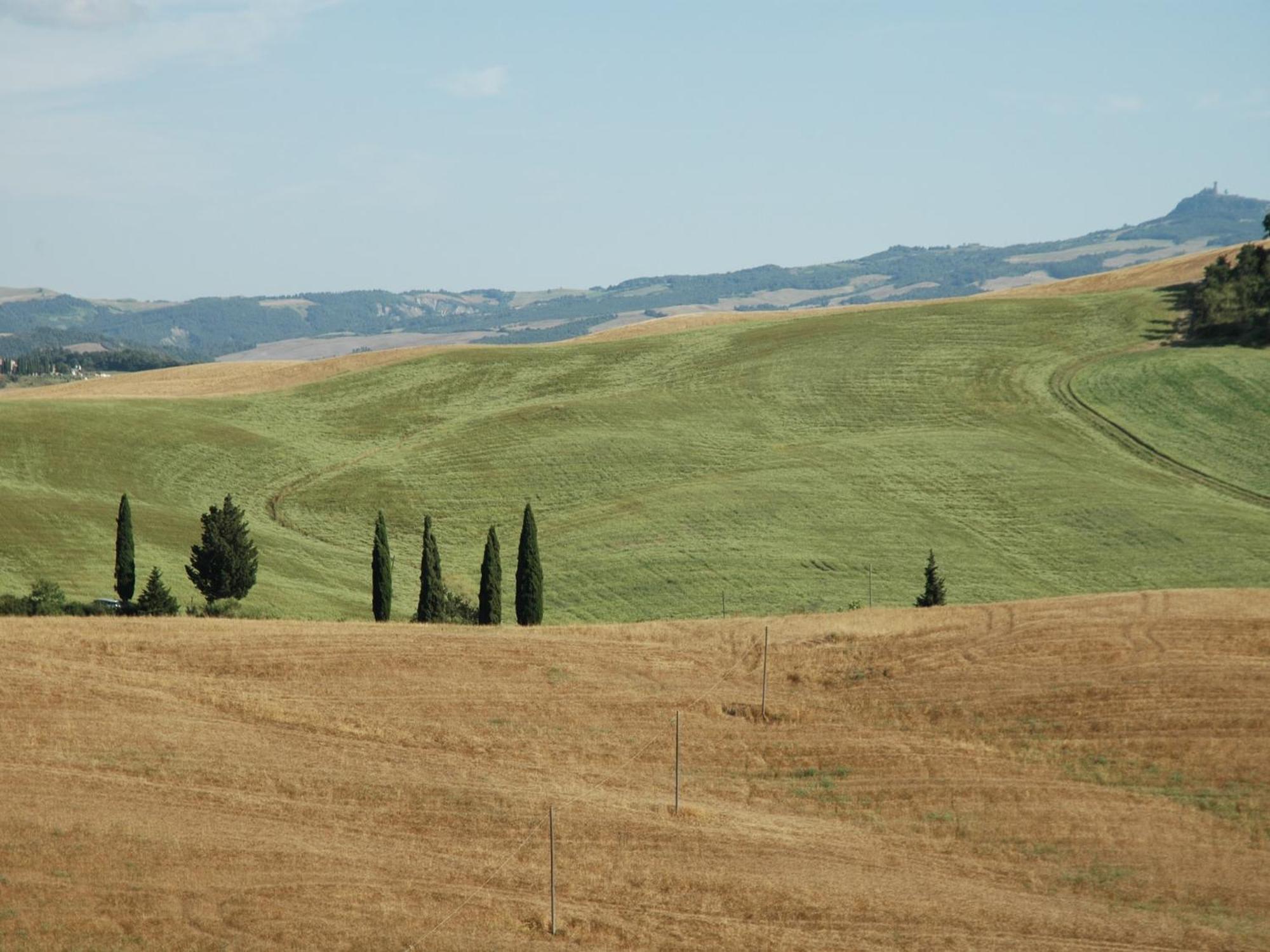 Modern Farmhouse In Pienza With Pool Dış mekan fotoğraf